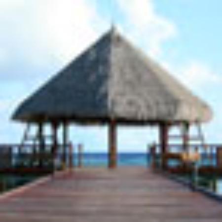 Pizzeria celli-italia